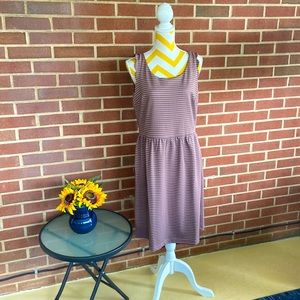 LOFT Gingham Scallop Dress